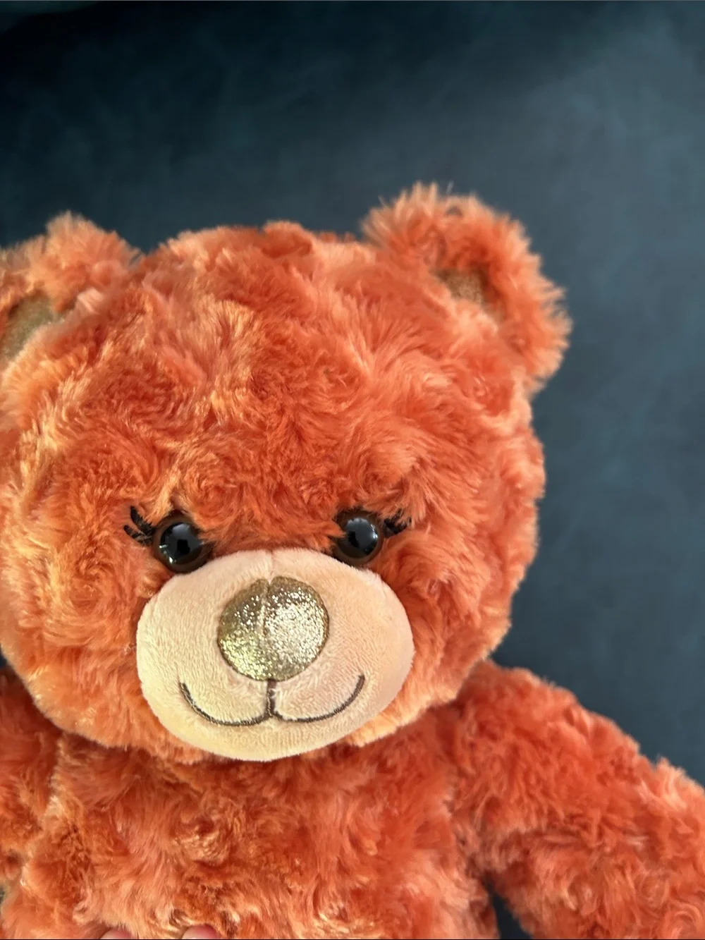Build-A-Bear comes accessories
